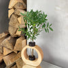 Holzvase aus Ahornholz für Trocken - und Frischblumen | Handgefertigtes Produkt - Dekostyl