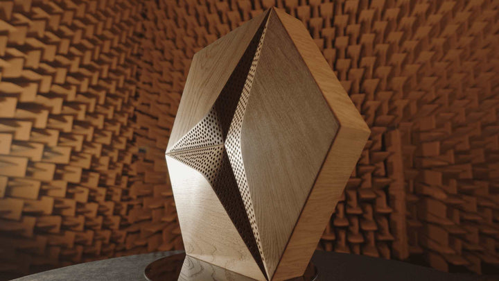 HEXAGO CM-D - Akustische Wandpaneele aus Eichen-Massivholz | Perfekte Schallabsorption - Dekostyl #