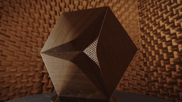 HEXAGO CM-D - Akustische Wandpaneele aus Eichen-Massivholz | Perfekte Schallabsorption Dekostyl